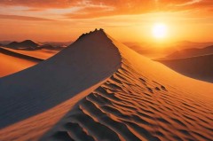 罗德里戈勇敢迎战：皇马新赛季的左翼挑战